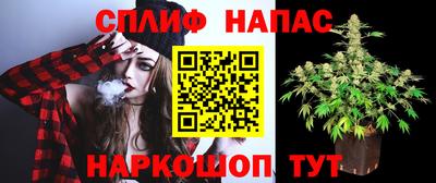 спиды Краснодар